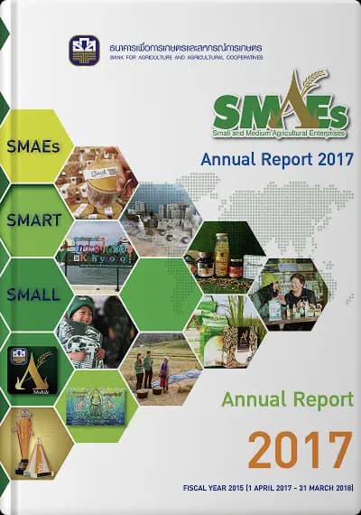 Annual Report 2017