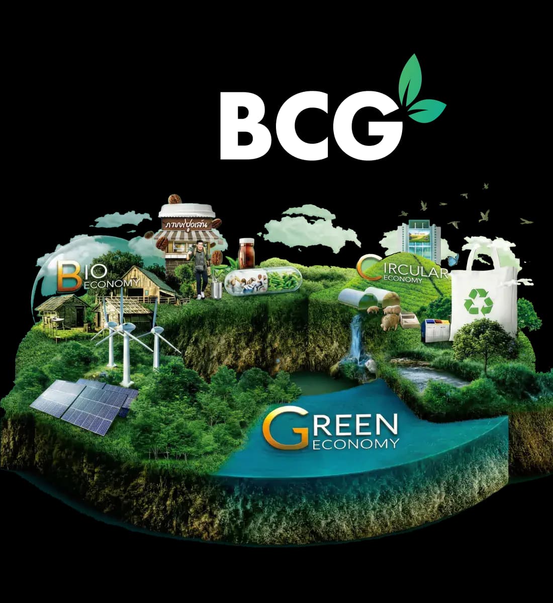 BCG Model