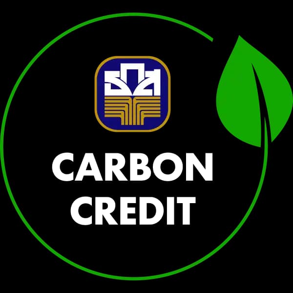 Carbon Credit Logo