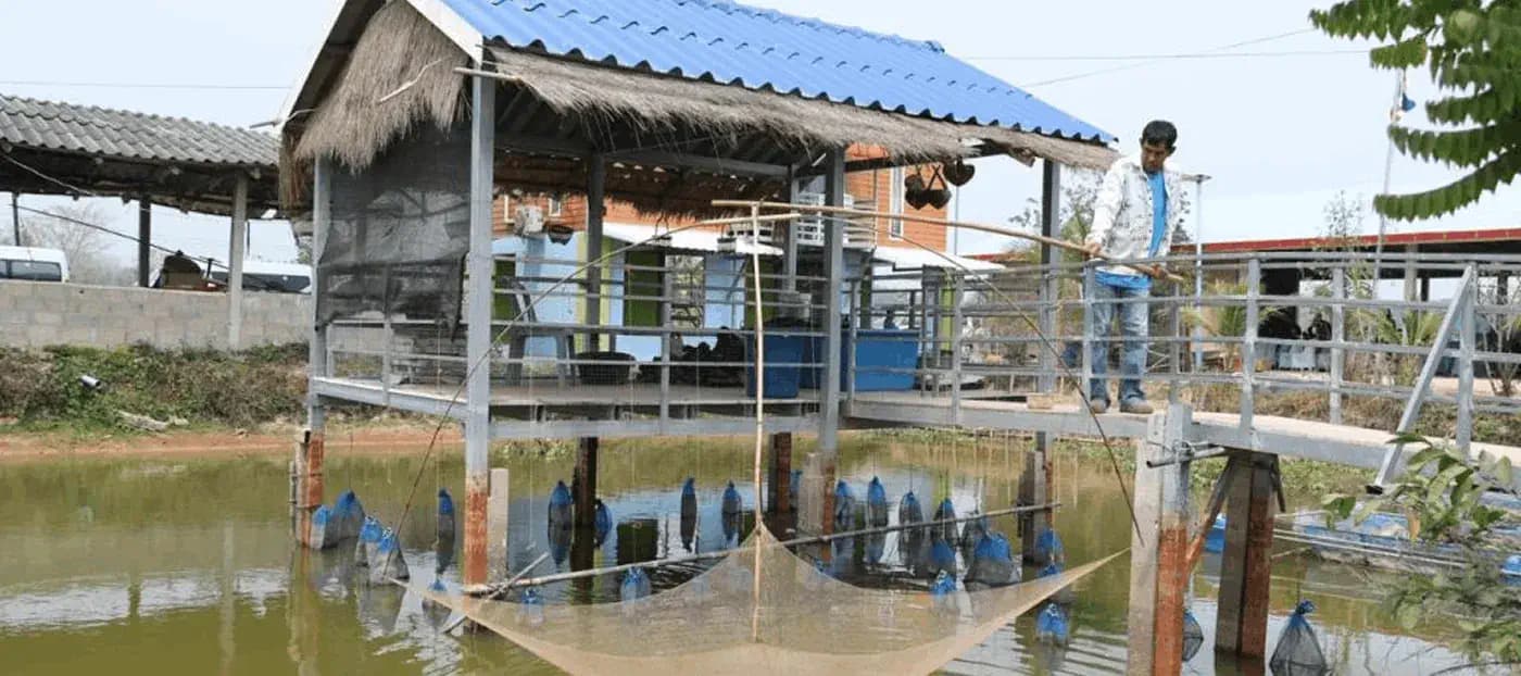 โครงการ Design & Manage by Area (D&MBA)