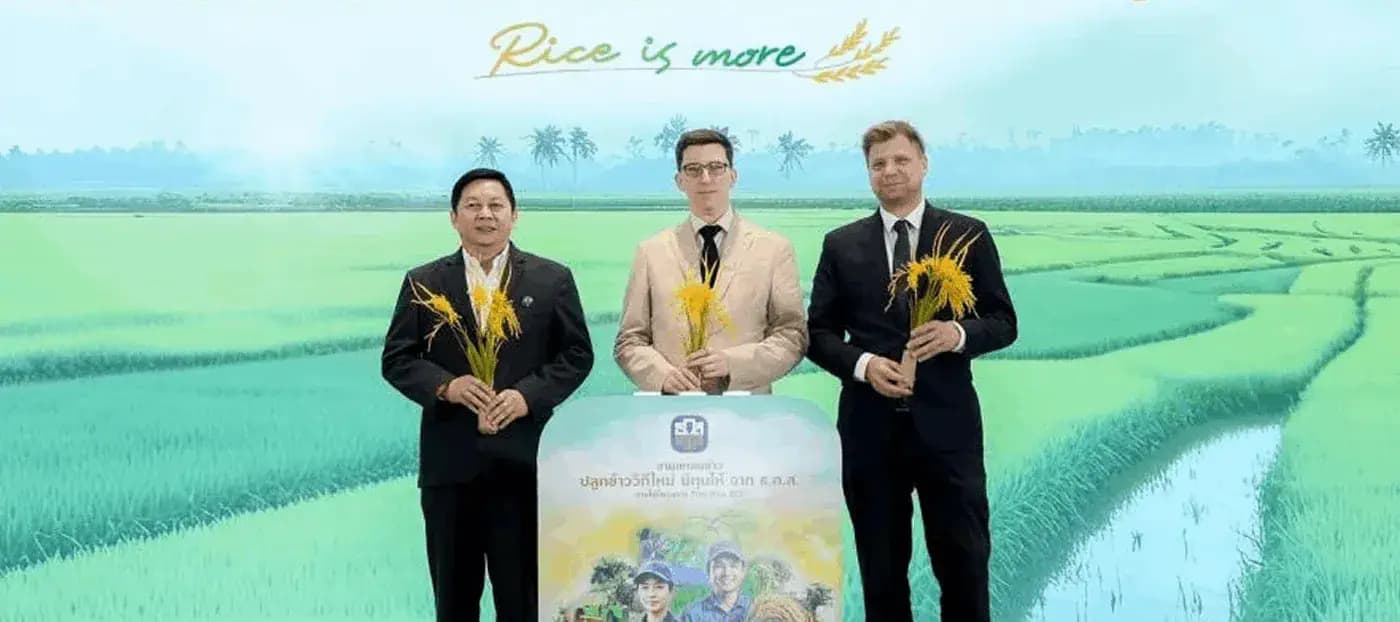 Thai Rice GCF Project