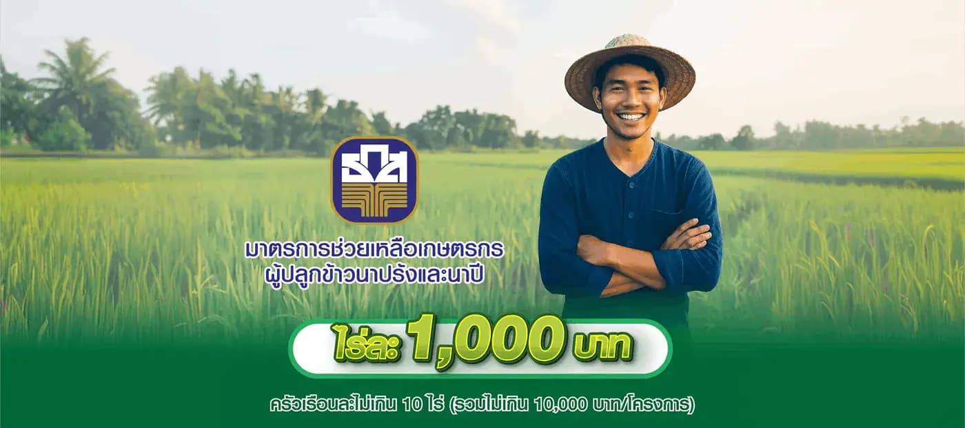 Support Program for Off-Season Rice Farmers