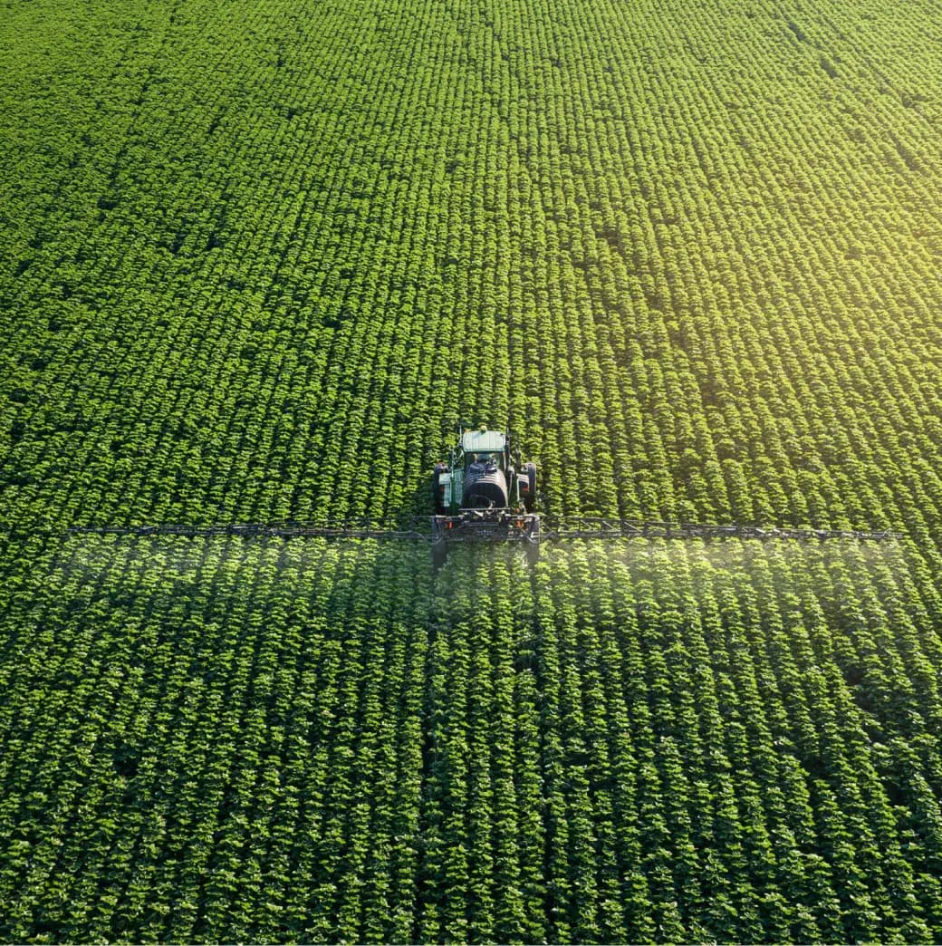 องค์กรแห่งความยั่งยืน