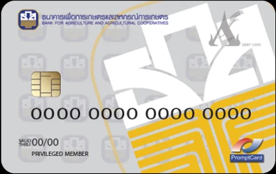 Card 8