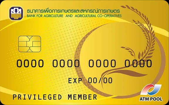 Card 10